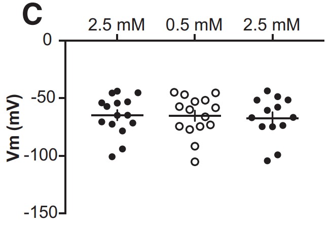 Membrane potential of NR Fgf15 neurons.jpg